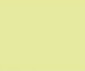 Yellow Pastel